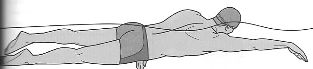 drawing of swimmer with slight roll on right side
